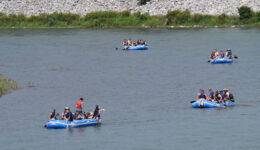 DSC_0236-copy