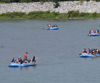 DSC_0236-copy