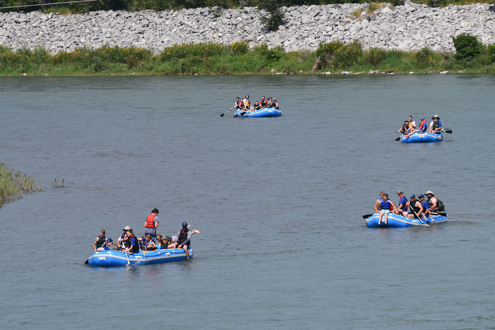 DSC_0236-copy