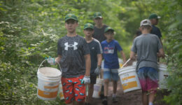 IMG_1212-copy