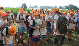 IMG_6215-copy