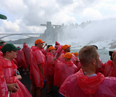 IMG_6324-copy