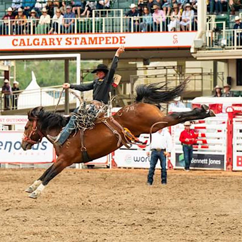 Calgary Stampede