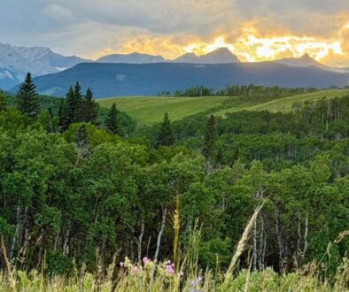 camporee-blog-feat-img-sunset