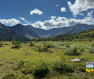 kananaskis-area-july-18