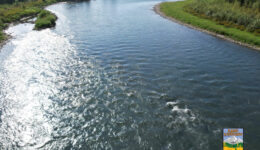 water-act-02